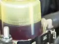 Serbatoio liquido servosterzo con indicazioni min/max a freddo e a caldo. Controllare il livello per un corretto funzionamento del servosterzo.