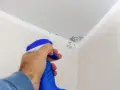 Muffa sul soffitto trattata con vernici speciali. Un flacone spray blu e bianco spruzza il prodotto per eliminare le macchie.