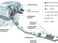 Schema motore con sistema di scarico: EGR (ricircolo gas di scarico) e catalizzatore lavorano insieme per ridurre le emissioni.
