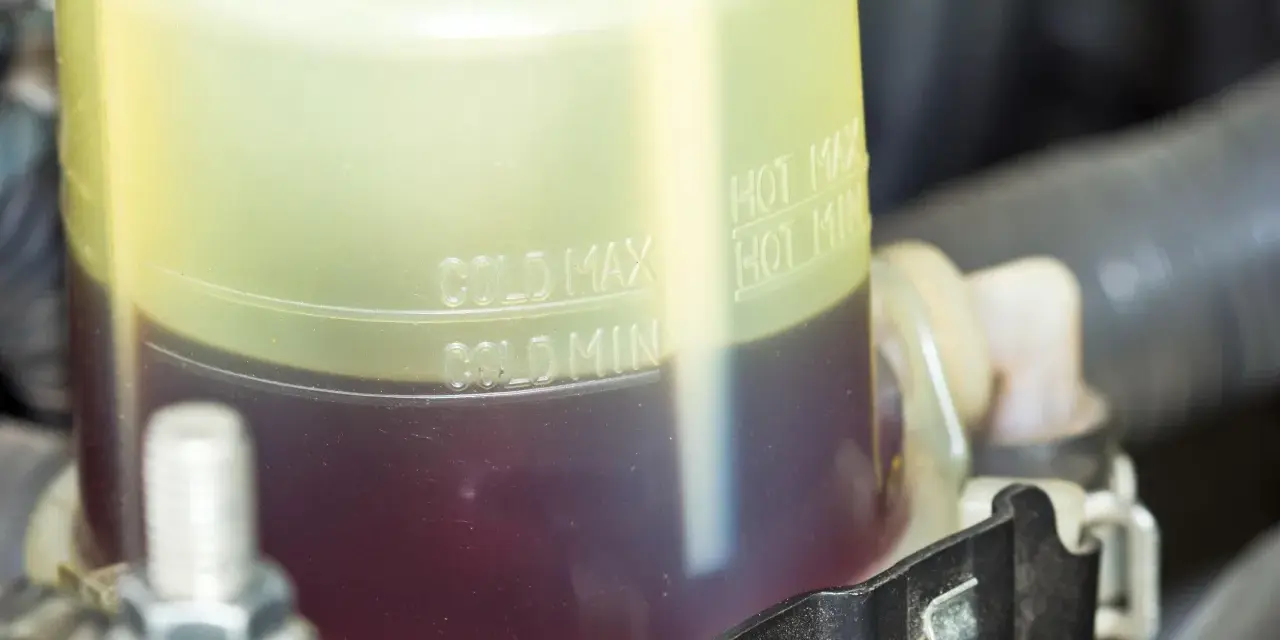 Serbatoio liquido servosterzo con indicazioni min/max a freddo e a caldo. Controllare il livello per un corretto funzionamento del servosterzo.