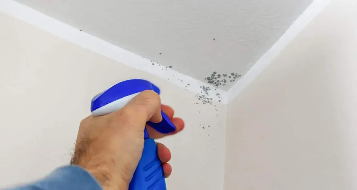 Muffa sul soffitto trattata con vernici speciali. Un flacone spray blu e bianco spruzza il prodotto per eliminare le macchie.