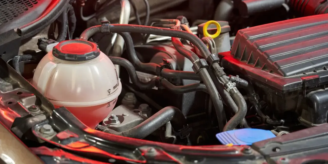 Serbatoio trasparente con liquido rosso, parte dell'impianto di raffreddamento del motore, circondato da tubi e componenti meccanici.