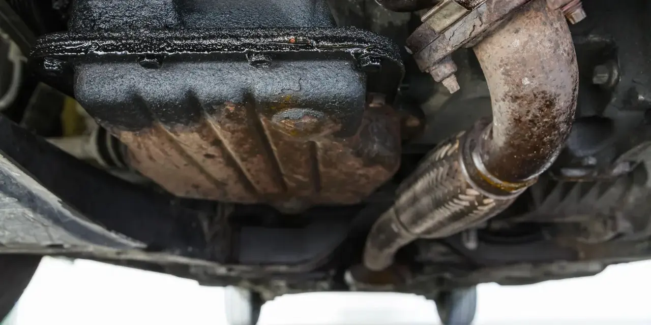 Sotto un'auto, si nota una **perdita olio motore dalla testata**, con accumuli scuri e gocciolamenti visibili sui componenti meccanici e sul tubo di scarico.