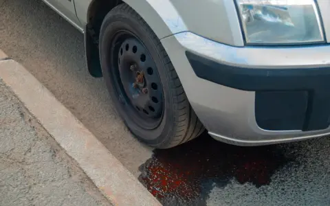 Un'auto perde liquido rosso da ferma, formando una pozza sull'asfalto vicino al marciapiede.