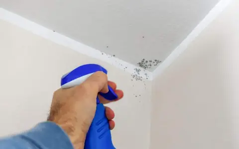 Muffa sul soffitto trattata con vernici speciali. Un flacone spray blu e bianco spruzza il prodotto per eliminare le macchie.