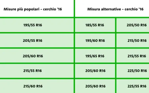 Tabella con misure pneumatici popolari e alternative per cerchi da 16 pollici. La larghezza pneumatico varia da 185 a 225 mm.