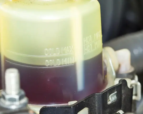 Serbatoio liquido servosterzo con indicazioni min/max a freddo e a caldo. Controllare il livello per un corretto funzionamento del servosterzo.