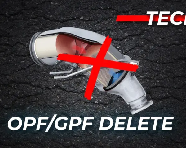 Filtro antiparticolato benzina problemi: sezione di un OPF/GPF con una grande X rossa, indicando la rimozione.