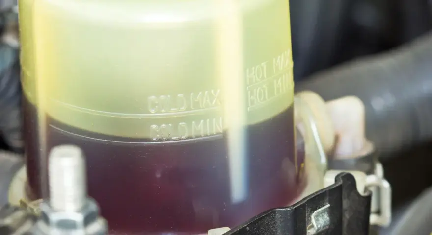 Serbatoio liquido servosterzo con indicazioni min/max a freddo e a caldo. Controllare il livello per un corretto funzionamento del servosterzo.