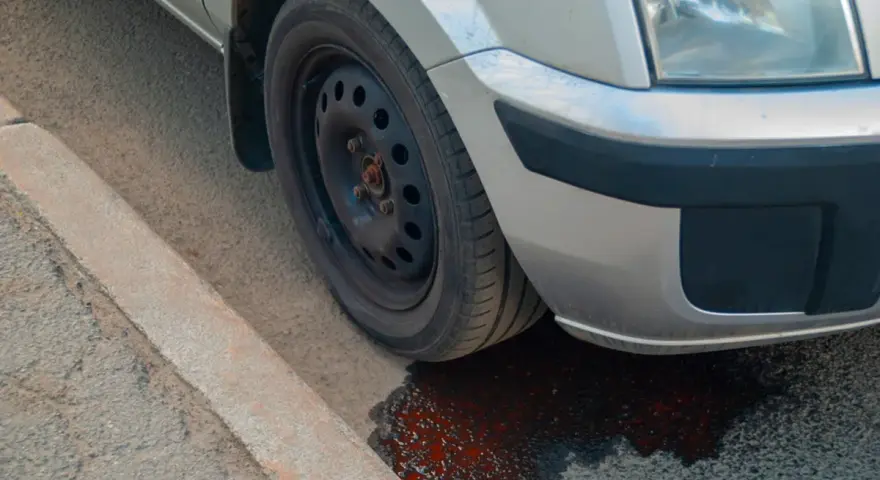 Un'auto perde liquido rosso da ferma, formando una pozza sull'asfalto vicino al marciapiede.