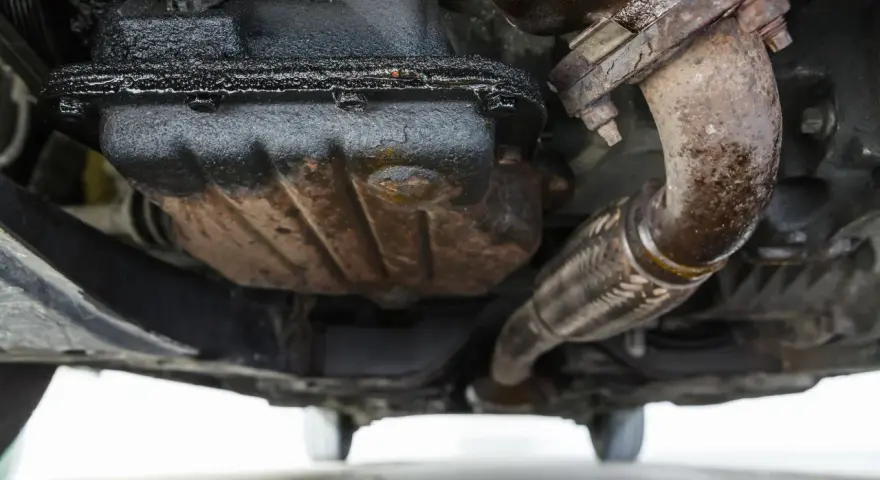Sotto un'auto, si nota una **perdita olio motore dalla testata**, con accumuli scuri e gocciolamenti visibili sui componenti meccanici e sul tubo di scarico.