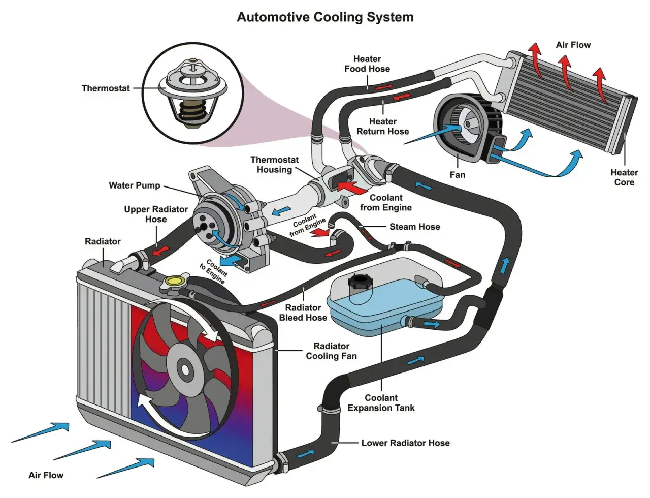 Schema del sistema di raffreddamento auto: pompa, termostato, ventola e radiatore macchina.
