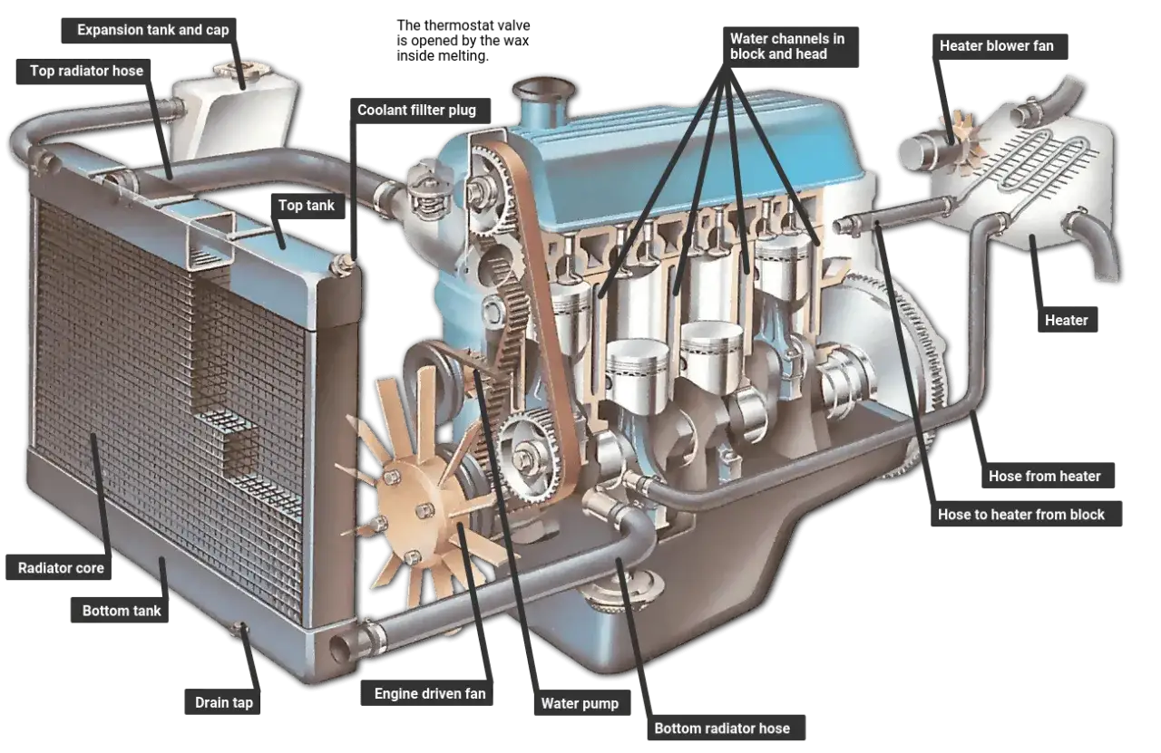 Schema dell'impianto di raffreddamento di un motore: radiatore, ventola, pompa acqua, tubi e serbatoio di espansione.